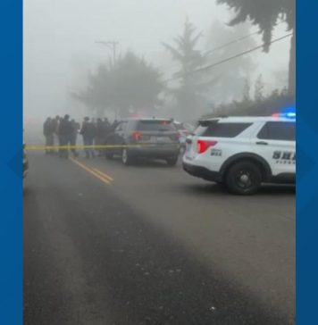 Deputy involved in shooting after man, dog reportedly stabbed in Parkland