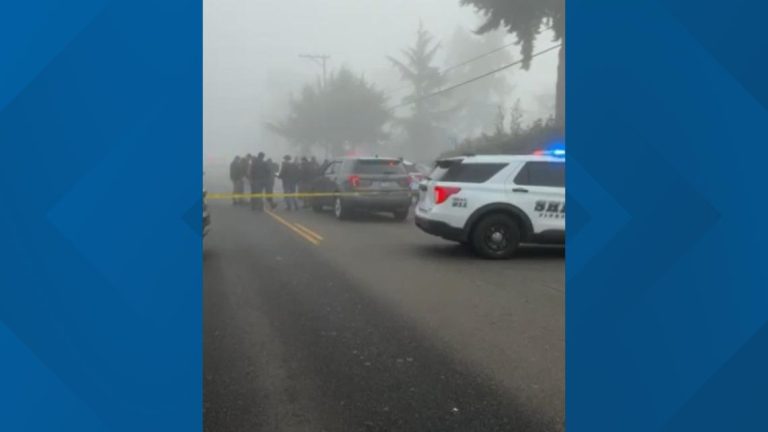 Deputy involved in shooting after man, dog reportedly stabbed in Parkland