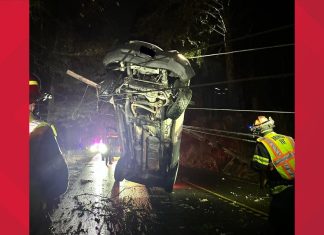Driver crashes into pole on Highway 101, suspended in power lines