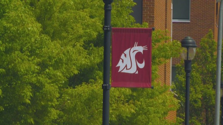 WSU Greek Row parties paused after ‘safety-related incidents’