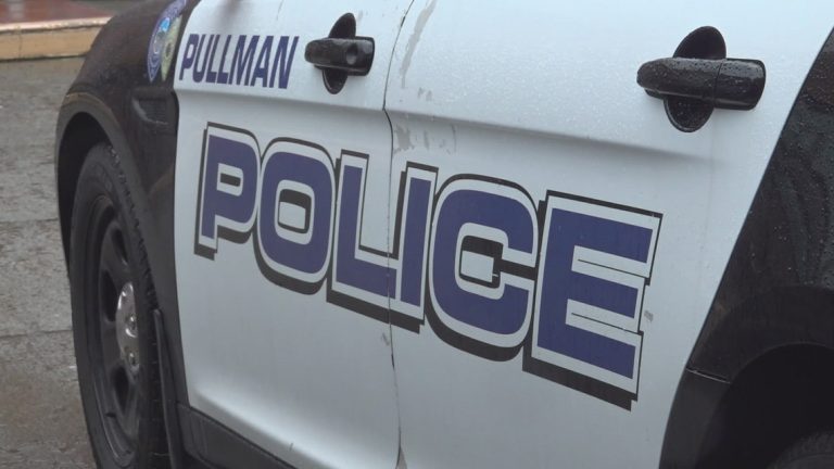 Pullman man sentenced to 16 years in prison for shooting friend while using meth