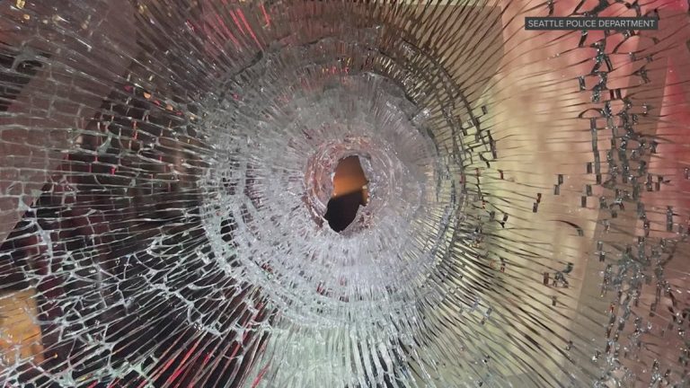 Teen arrested after Capitol Hill shooting, attempted carjacking, police say