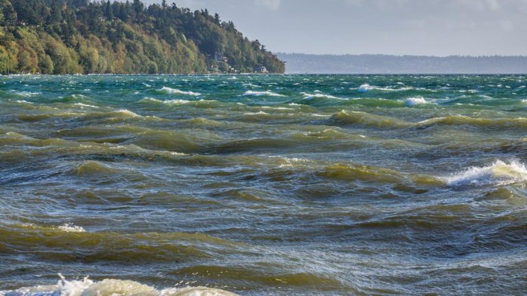 Wind advisory in effect through Sunday morning with gusts up to 45 mph