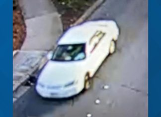 Bellevue hit-and-run leaves elderly woman dead