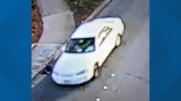 Bellevue hit-and-run leaves elderly woman dead