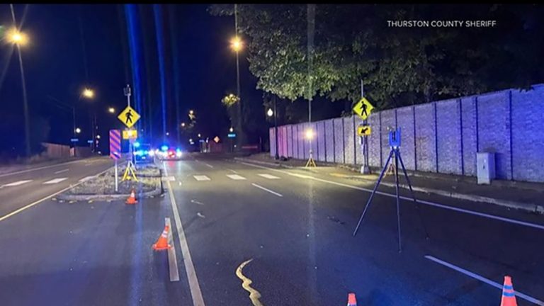 Driver suspected of Thurston County hit-and-run that killed dog, injured man arrested