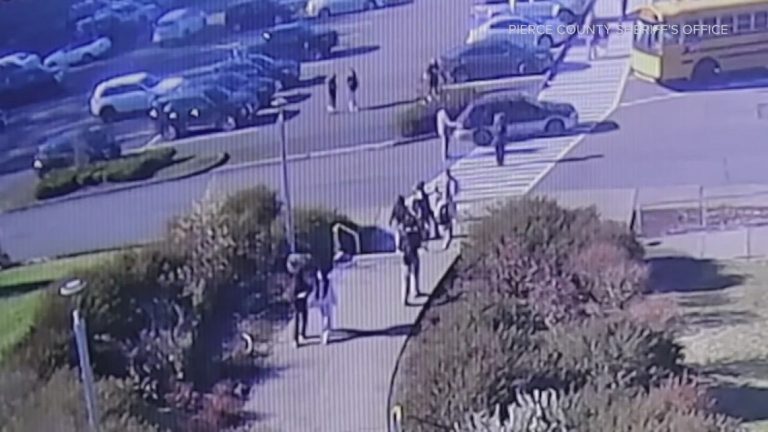 Man facing multiple charges for ignoring crossing guard at Pierce County school