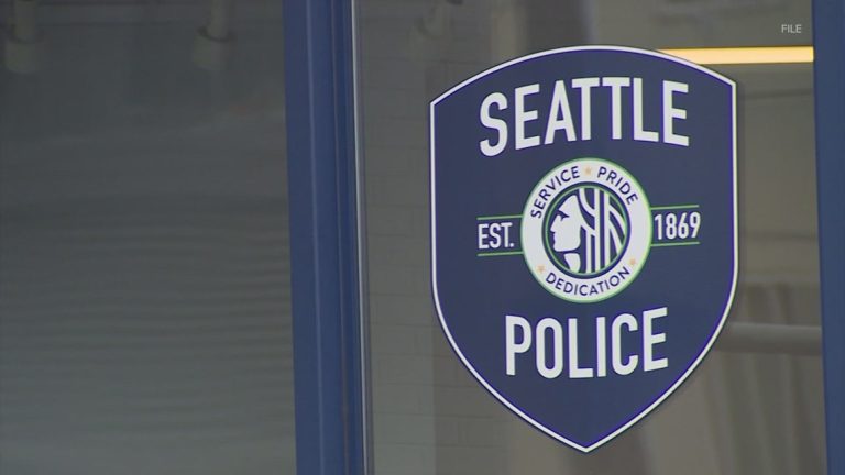 Weekend shootings underscore work ahead despite Seattle’s crime progress, police chief says