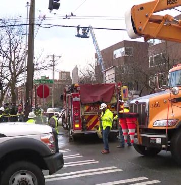 Operator rescued after crane crashes into power pole in Queen Anne
