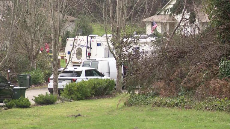 Court documents provide insight prior to fatal stabbings of 4 people in Gig Harbor