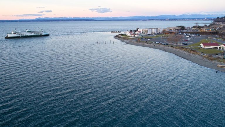Diver dies after distress call at Mukilteo beach