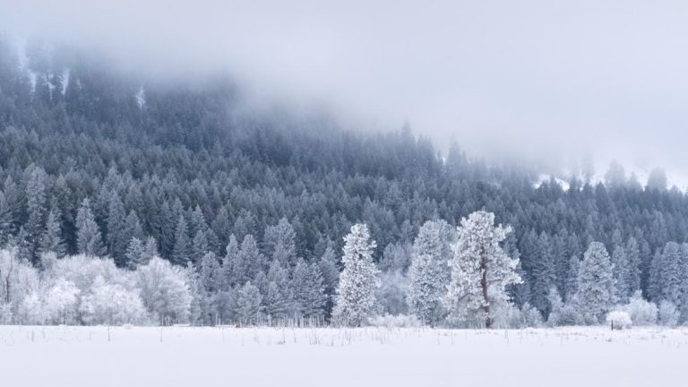 Spotty lowland snow possible overnight into Wednesday morning