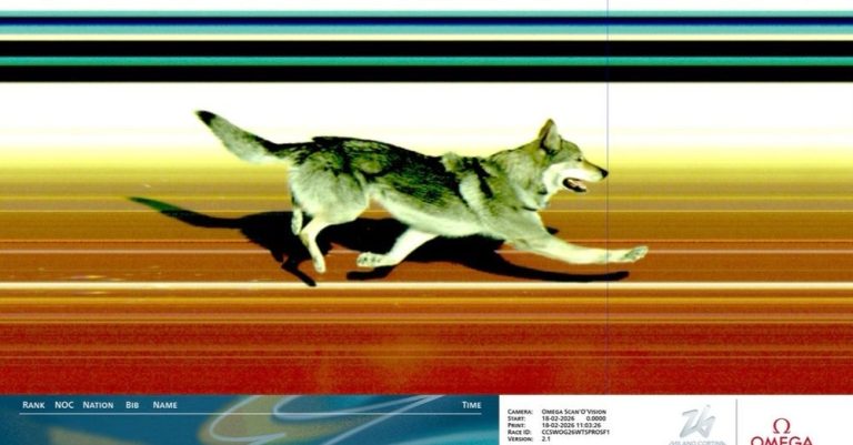 The Olympics were invaded by a WOLFDOG named after a ‘Lord of the Rings’ villain