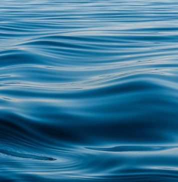 Coast Guard suspends search for missing kayaker in Hood Canal