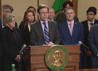 Washington enacts first AI chatbot safety law