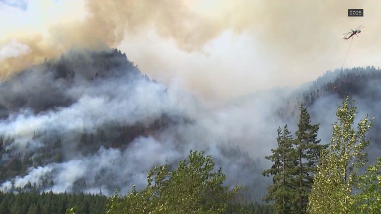 Low snowpack, potentially dry summer increase wildfire risk