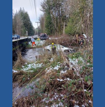 Driver escapes unharmed after vehicle plunges into Cranberry Creek