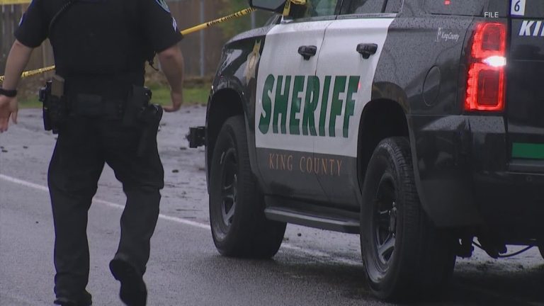 Human remains found at Shoreline park, deputies say