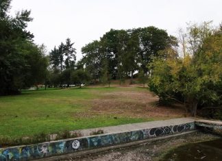 Person dies after being pulled from Green Lake