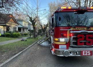 Elderly woman dies in Seattle house fire