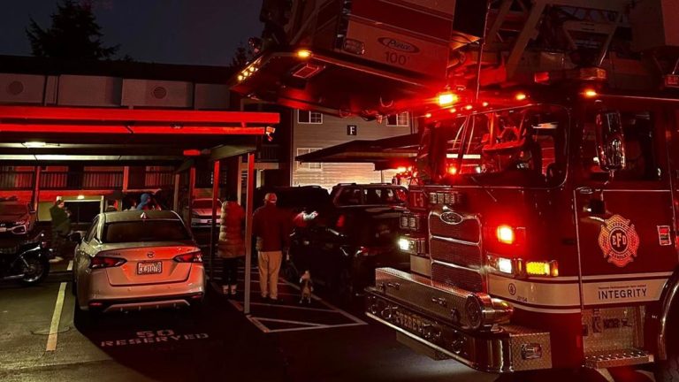 Everett apartment fire displaces 51 as child documents her escape