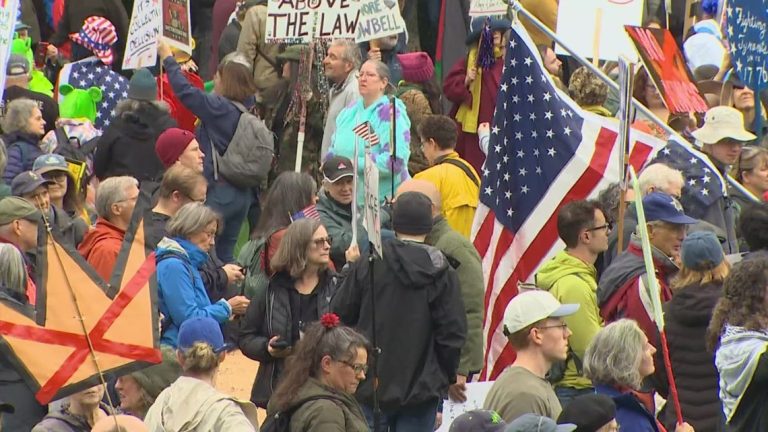 Where No Kings protests are happening this weekend in western Washington