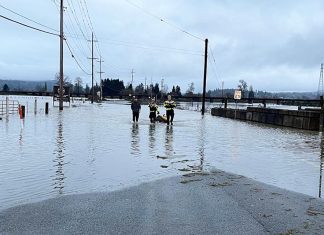 Emergency crews rescue driver from truck disabled by Snohomish flood water
