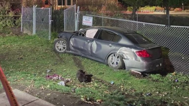 Teen suspect arrested 16 months after deadly Everett hit-and-run that killed 3