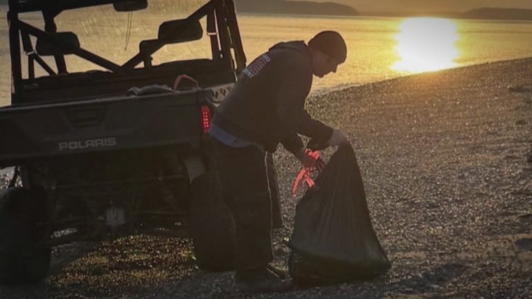 No charges expected for person behind washed up carcasses in coastal Skagit County, sheriff’s office says