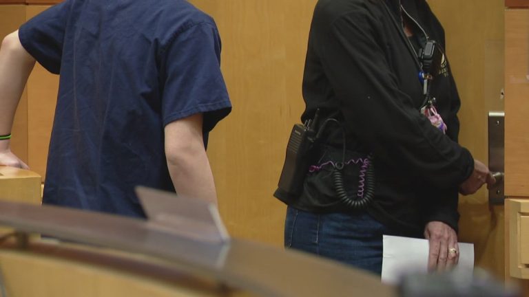Pierce County teen sentenced to probation, treatment for school shooting threats