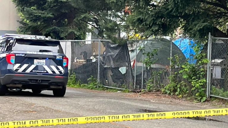 Man shot in West Seattle
