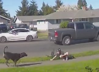 12-year-old injured in Puyallup dog attack as security video sparks prevention questions