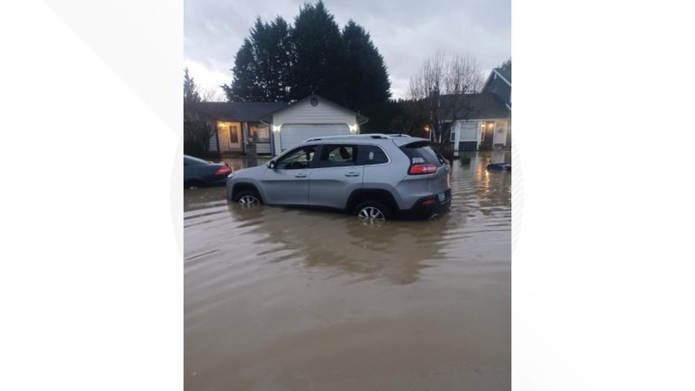 Pacific residents take legal action against flood district over damage in December levee failure
