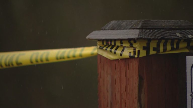 Woman put Everett break-in suspect in chokehold after 2 family members stabbed, police say