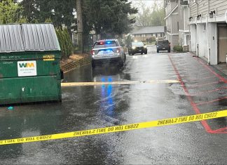 2 critically injured in stabbing during reported Everett home burglary