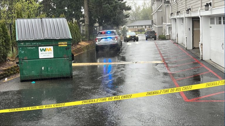 2 critically injured in stabbing during reported Everett home burglary