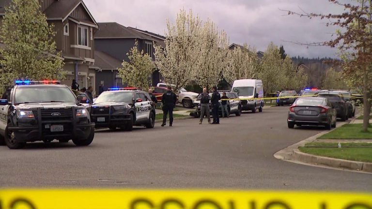 2 dead, 1 injured after domestic violence incident ended in neighbor’s driveway in Puyallup, police say