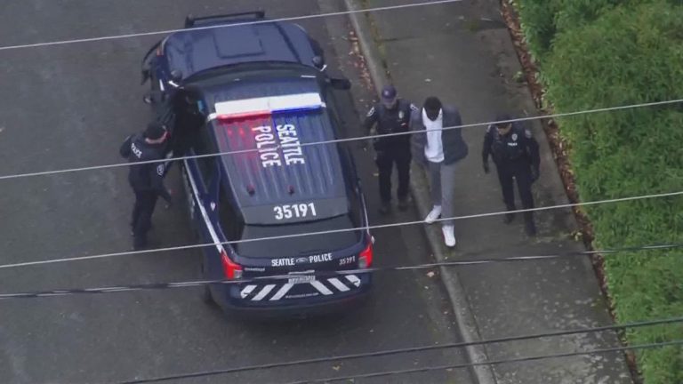 Man behind carjacking spree in King County sentenced to 27 years