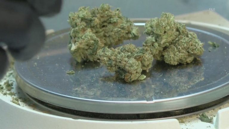 US Department of Justice proposes marijuana reclassification, potential shift in federal stance