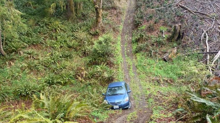 ‘I help people’: Belfair tow driver hikes into woods to rescue Uber Eats driver stranded by GPS