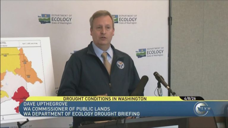 Statewide drought declared in Washington as snowpack dwindles