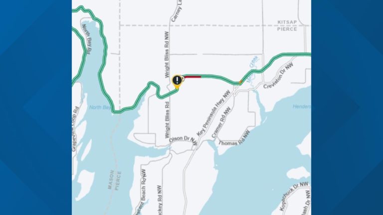 Downed power lines block all lanes of SR 302 on Key Peninsula