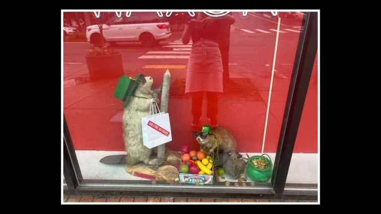 Thief steals beloved beaver mascots from Capitol Hill spa
