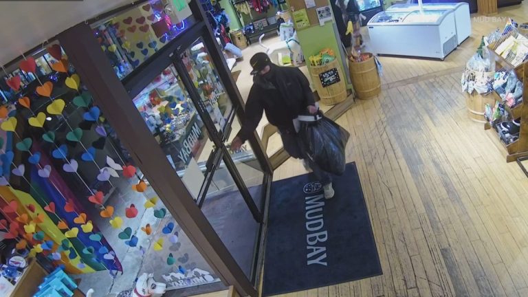 Governor’s veto of retail theft funding alarms business owners