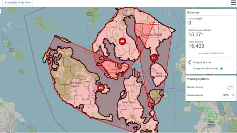 Fallen line knocks out power to thousands in San Juans during system-wide outage